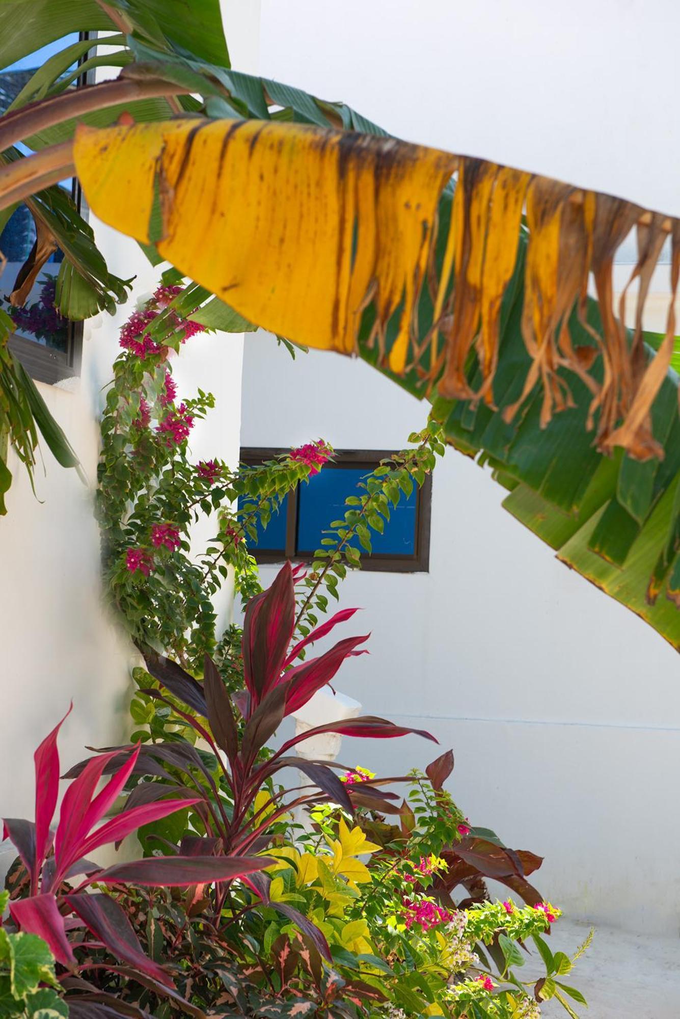 Dar Mar & Coworking Bed & Breakfast Paje